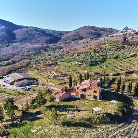 Az.Agr. Il Cavalleggero Campiglia dʼOrcia Exteriér fotografie