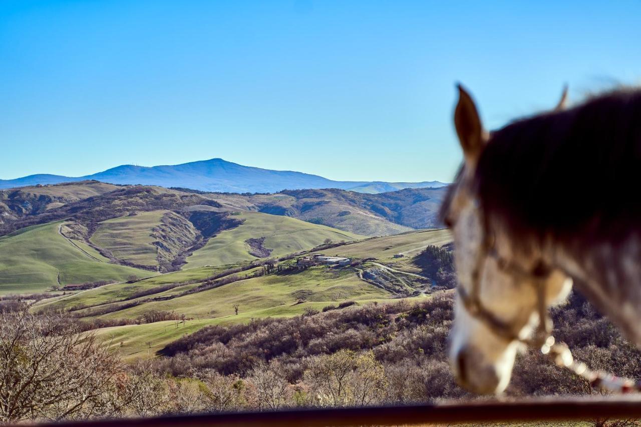 Az.Agr. Il Cavalleggero Campiglia dʼOrcia Exteriér fotografie