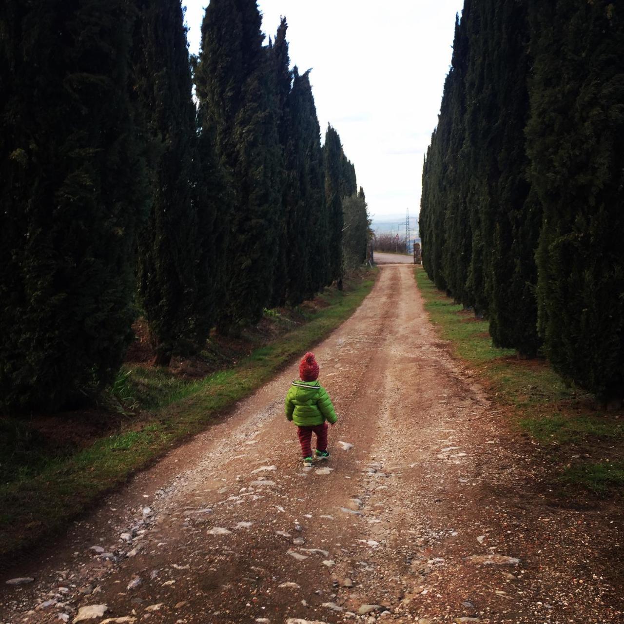 Az.Agr. Il Cavalleggero Campiglia dʼOrcia Exteriér fotografie