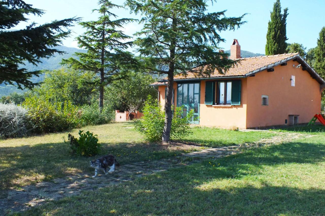 Az.Agr. Il Cavalleggero Campiglia dʼOrcia Exteriér fotografie