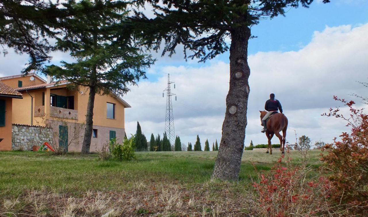 Az.Agr. Il Cavalleggero Campiglia dʼOrcia Exteriér fotografie