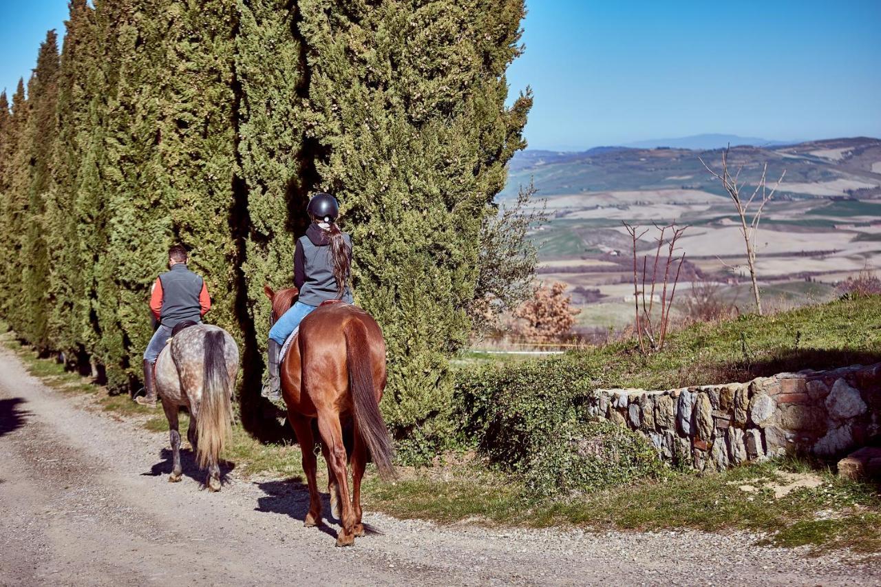 Az.Agr. Il Cavalleggero Campiglia dʼOrcia Exteriér fotografie