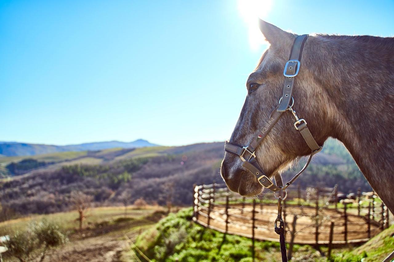 Az.Agr. Il Cavalleggero Campiglia dʼOrcia Exteriér fotografie